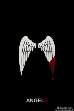 Poster ANGELS - Ailes d'ange par Romain Petit